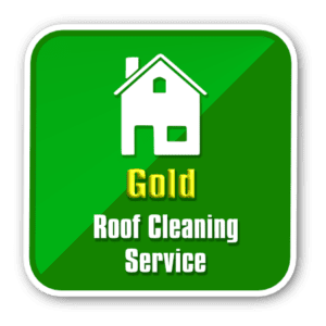 Roof Clean-Gold Service Icon