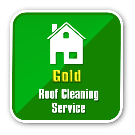 Roof Clean-Gold Service Icon
