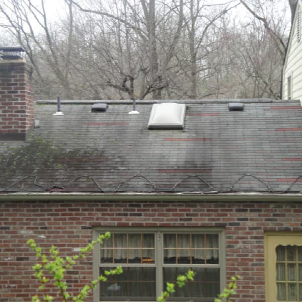 asphalt roof before cleaning churchill back