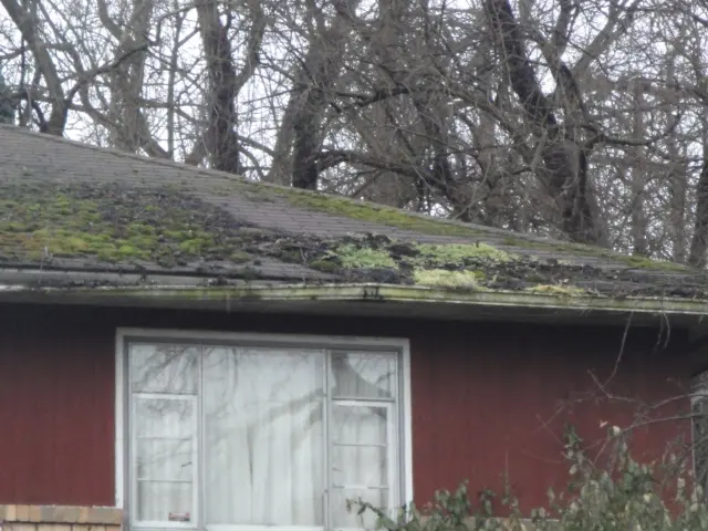 heavily damaged asphalt roof north versailles pa
