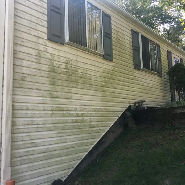 moldy house siding before soft washing monroeville, angle 1