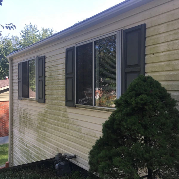 moldy house siding before soft washing monroeville, angle 2