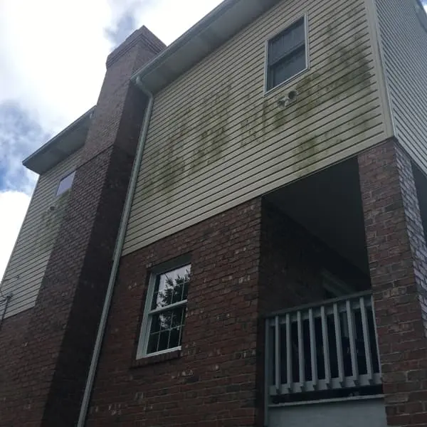 vinyl siding before soft washing pittsburgh right side