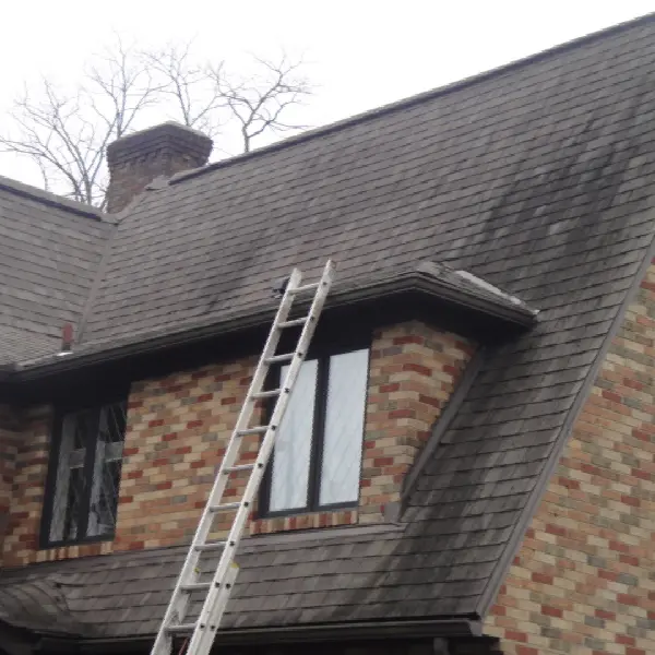 asphalt roof before cleaning forest hills front