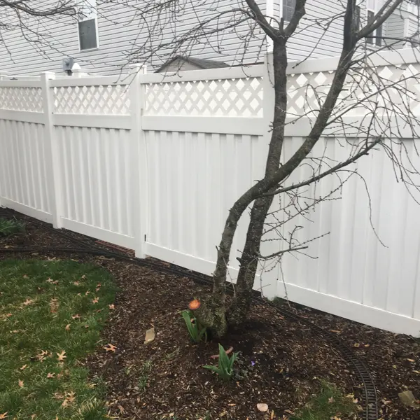 vinyl fence cleaning after shaler 01